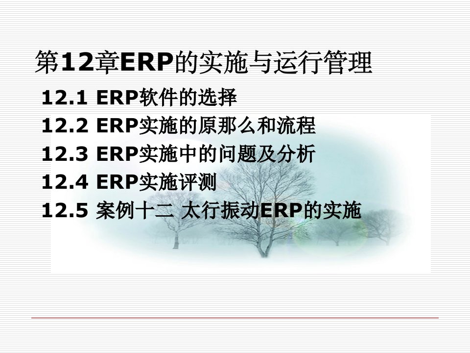 ERP的实施与运行管理课件