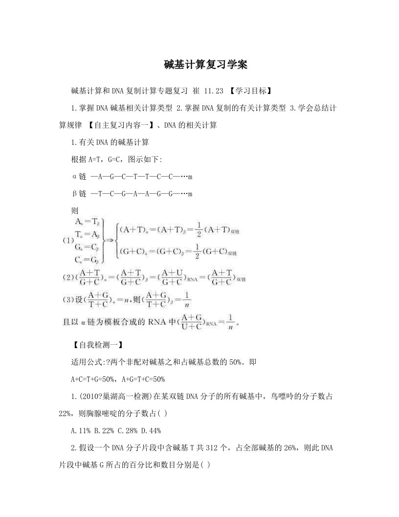 碱基计算复习学案