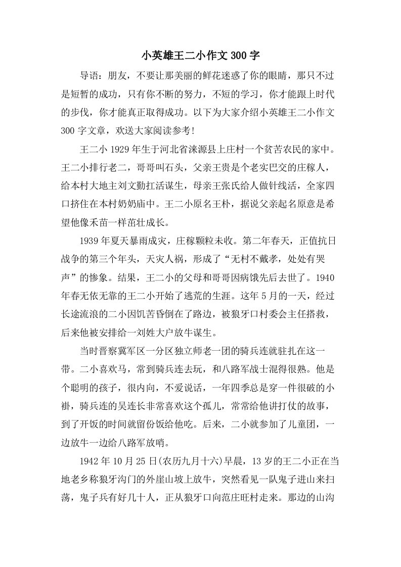 小英雄王二小作文300字