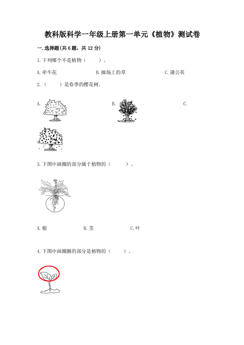 教科版科学一年级上册第一单元《植物》测试卷精品【易错题】