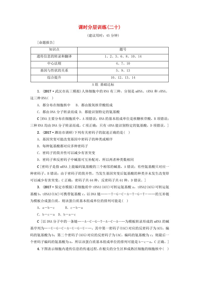 高三生物一轮复习第6单元第3讲基因的表达分层训练新人教版