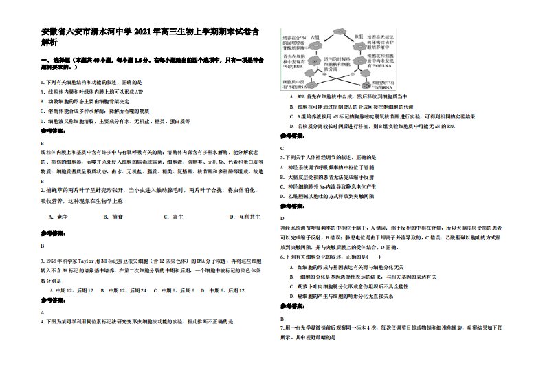 安徽省六安市滑水河中学2021年高三生物上学期期末试卷含解析