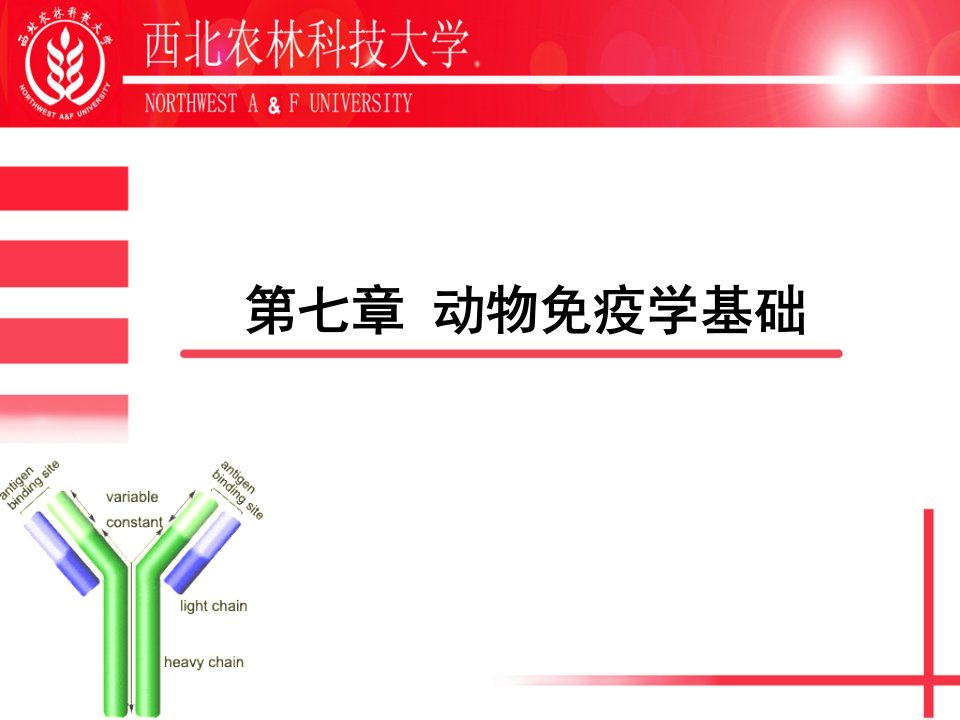 《动物免疫学基础》PPT课件