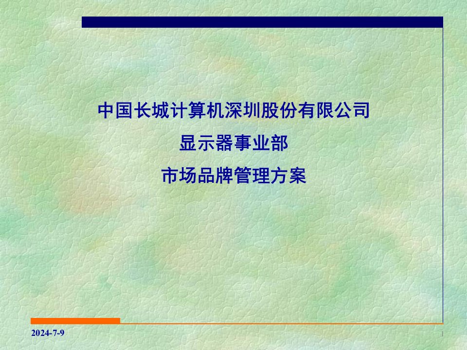 市场品牌管理方案（PPT