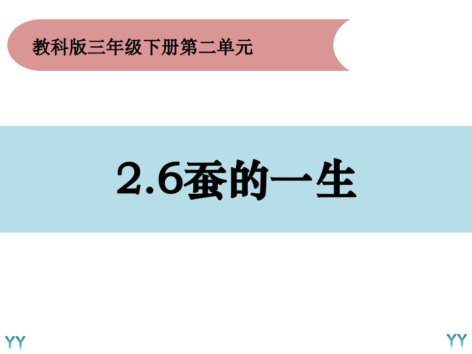 三年级下册科学《蚕的一生》教科版课件