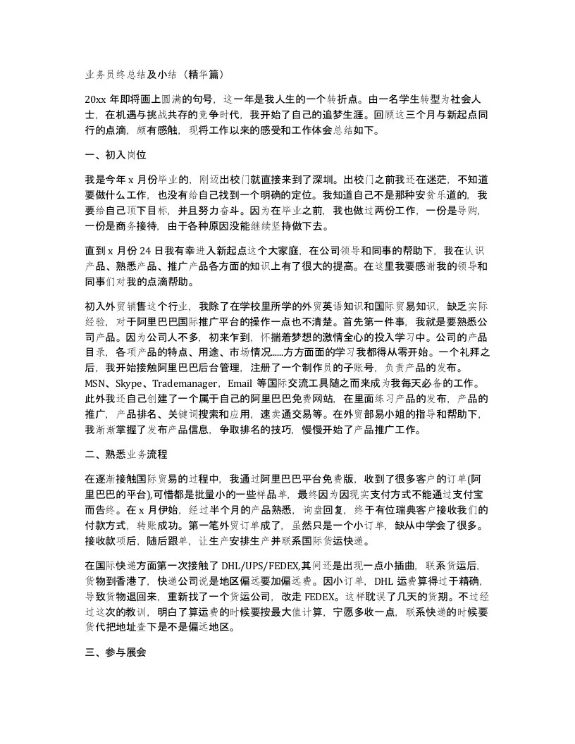 业务员终总结及小结精华篇