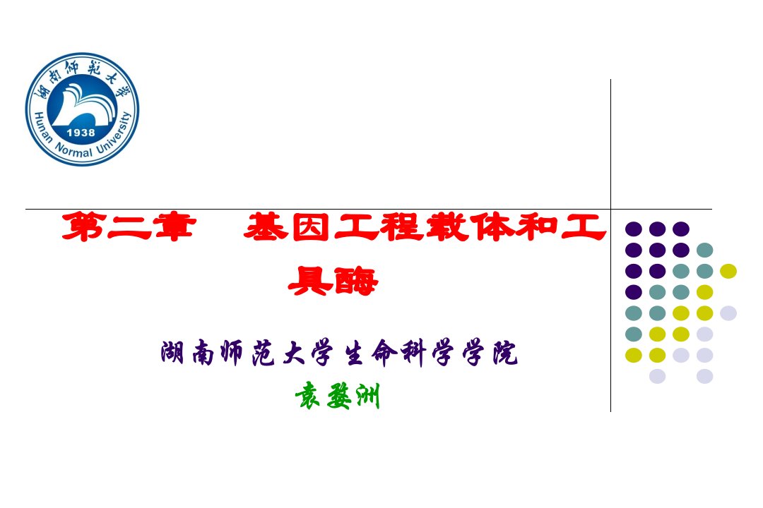 第二章基因工程载体和工具酶