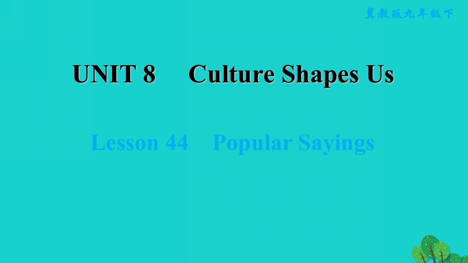 2022九年级英语下册Unit8CultureShapesUsLesson44PopularSayings习题课件新版冀教版