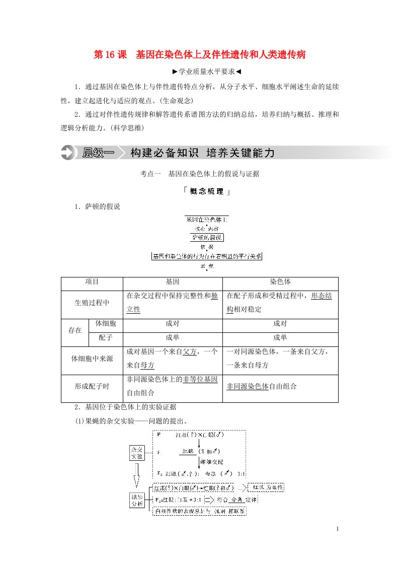 2023版高考生物一轮总复习第5单元遗传的基本规律与伴性遗传第16课基因在染色体上及伴性遗传和人类遗传病教师用书