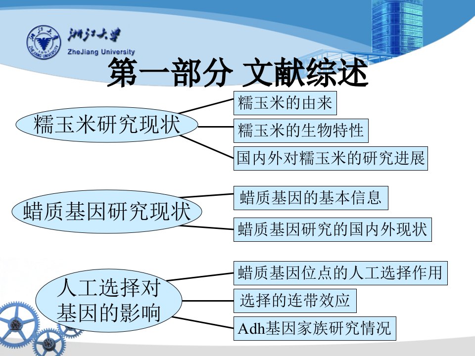 中国糯玉米的起源与驯化课件