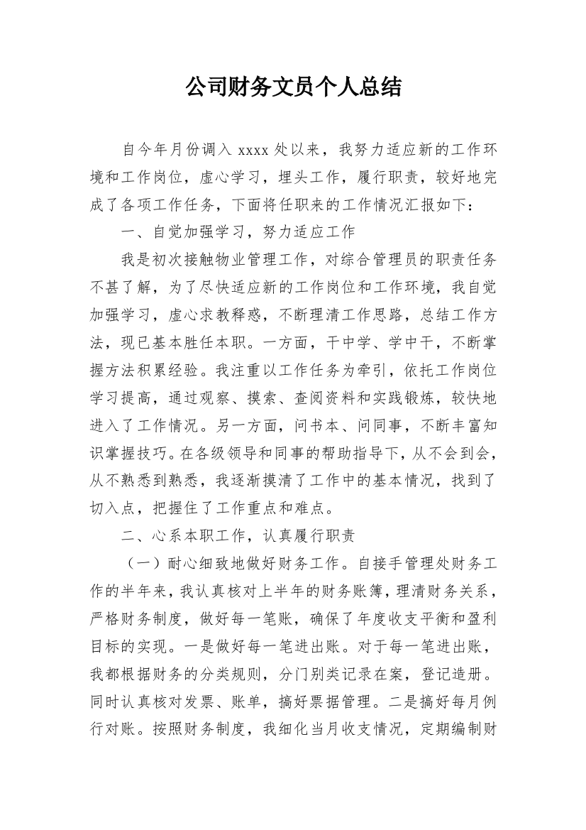 公司财务文员个人总结