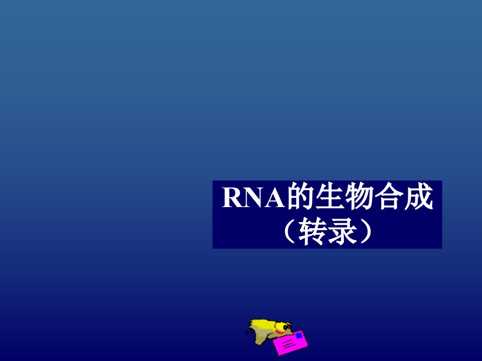 生物科技-RNA的生物合成转录