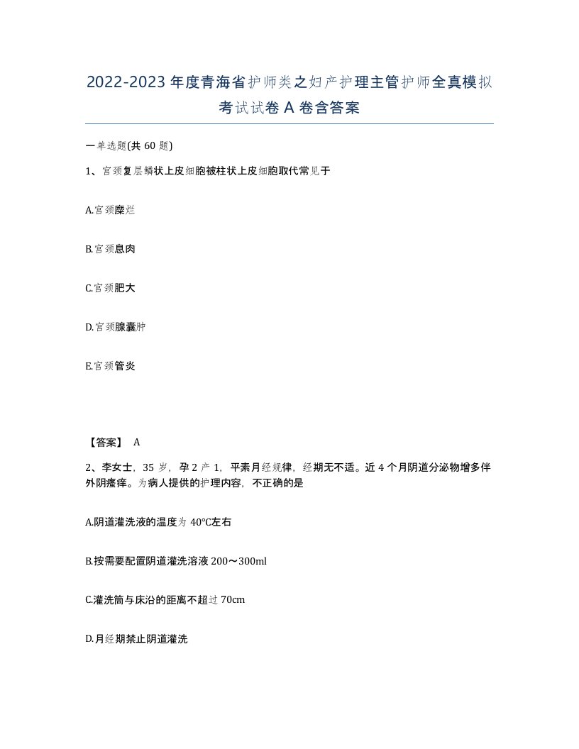 2022-2023年度青海省护师类之妇产护理主管护师全真模拟考试试卷A卷含答案