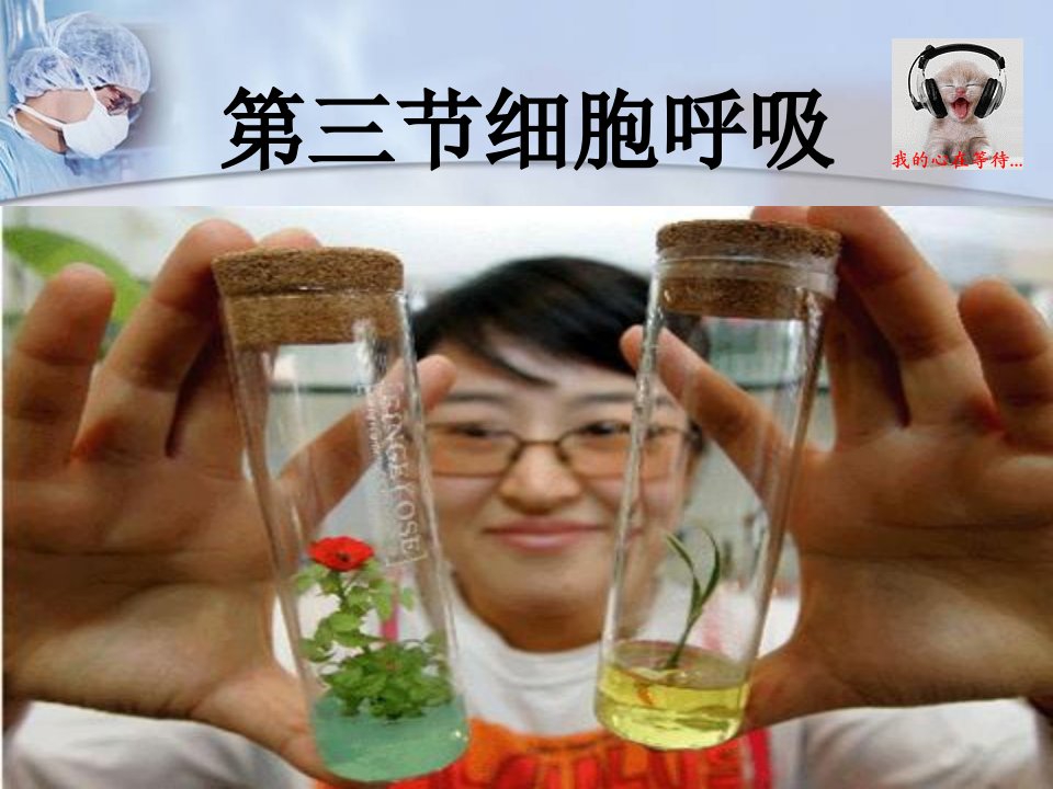 高中生物-呼吸作用ppt课件