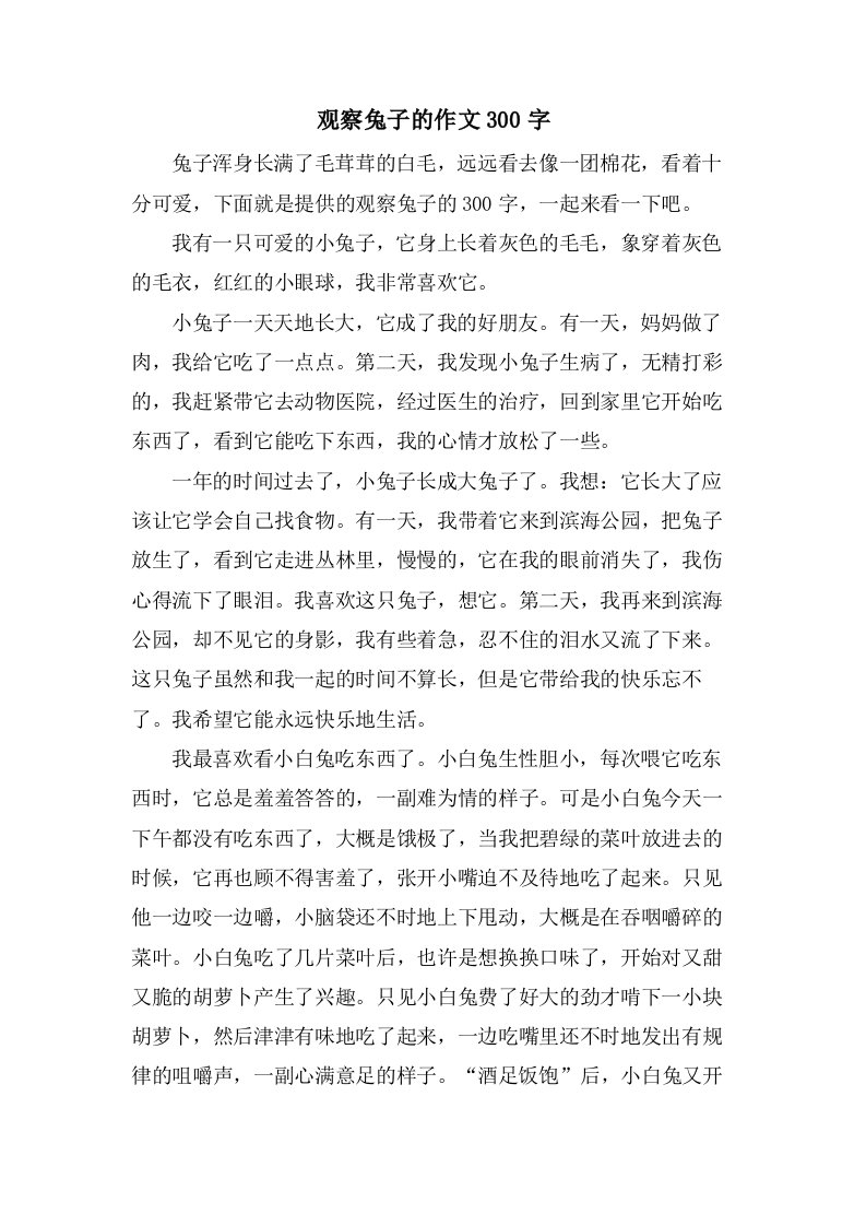 观察兔子的作文300字