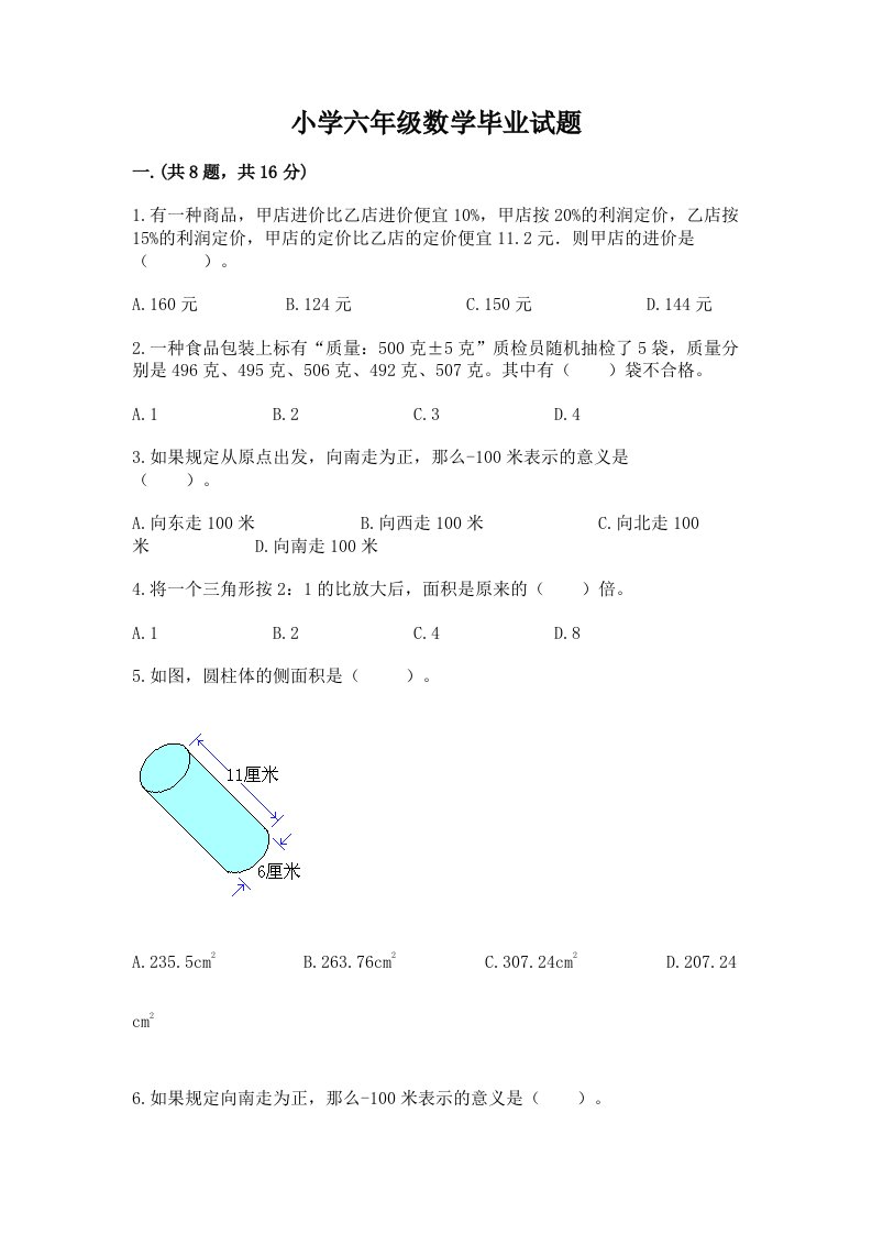 小学六年级数学毕业试题附参考答案【满分必刷】