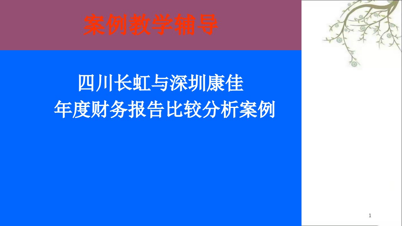 川与长虹财务分析案例课件