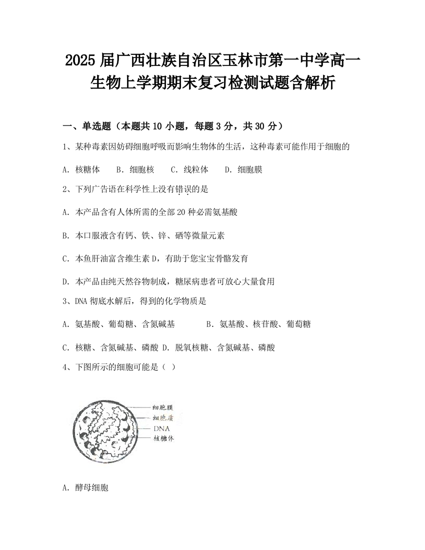 2025届广西壮族自治区玉林市第一中学高一生物上学期期末复习检测试题含解析