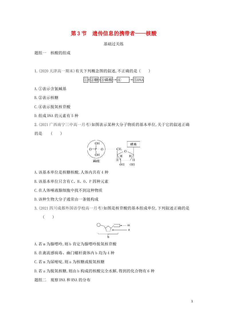 2022版高中生物第2章组成细胞的分子第3节遗传信息的携带者__核酸练习含解析新人教版必修1