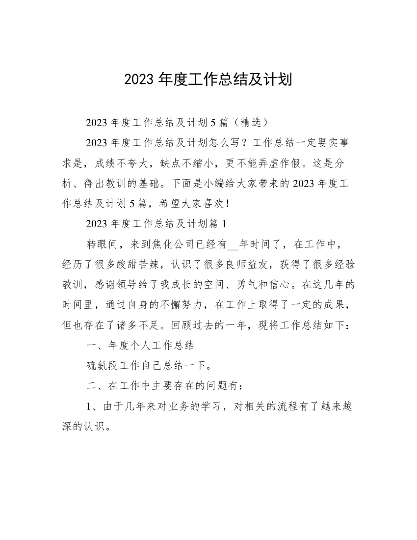 2023年度工作总结及计划