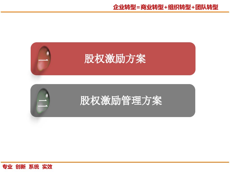 股权激励10定