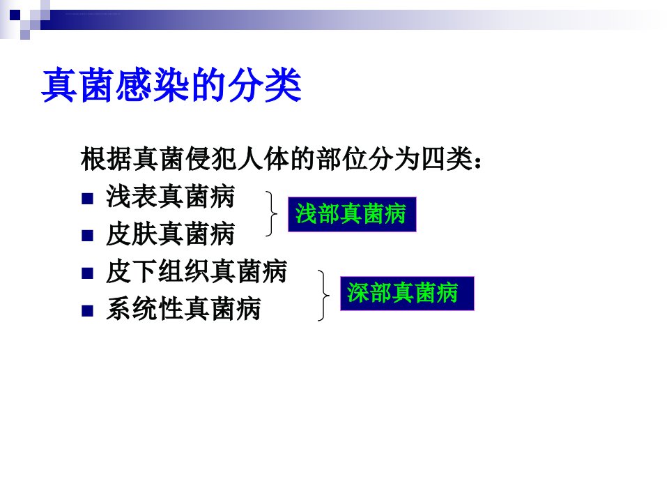 真菌检测的临床意义ppt课件