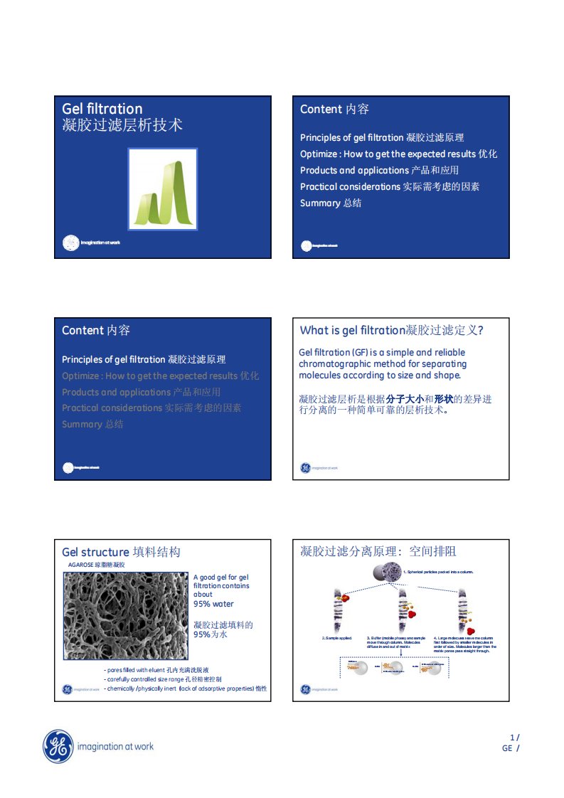 ge公司培训讲义—凝胶过滤层析技术