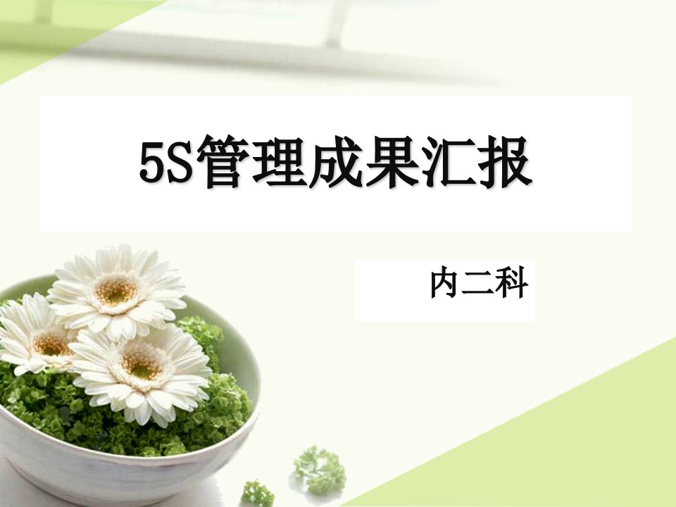 内二科5S成果汇报（PPT52页)