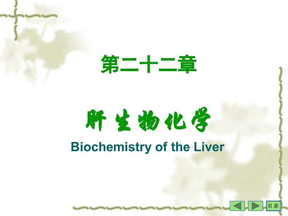 医学课件第二十二章肝生物化学