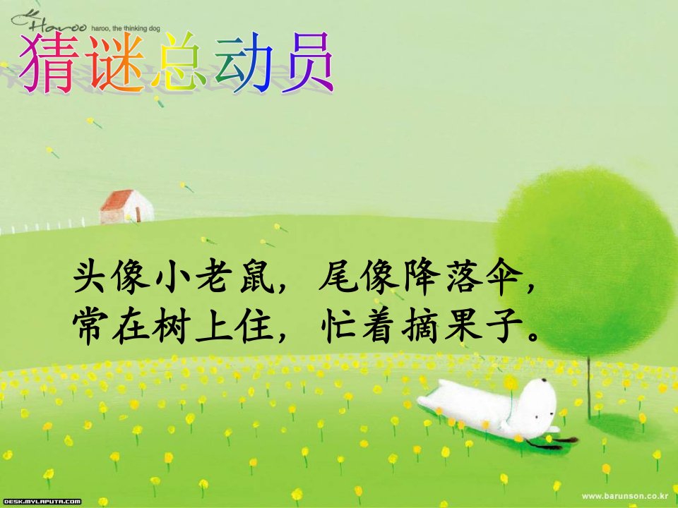 松鼠和松果.ppt