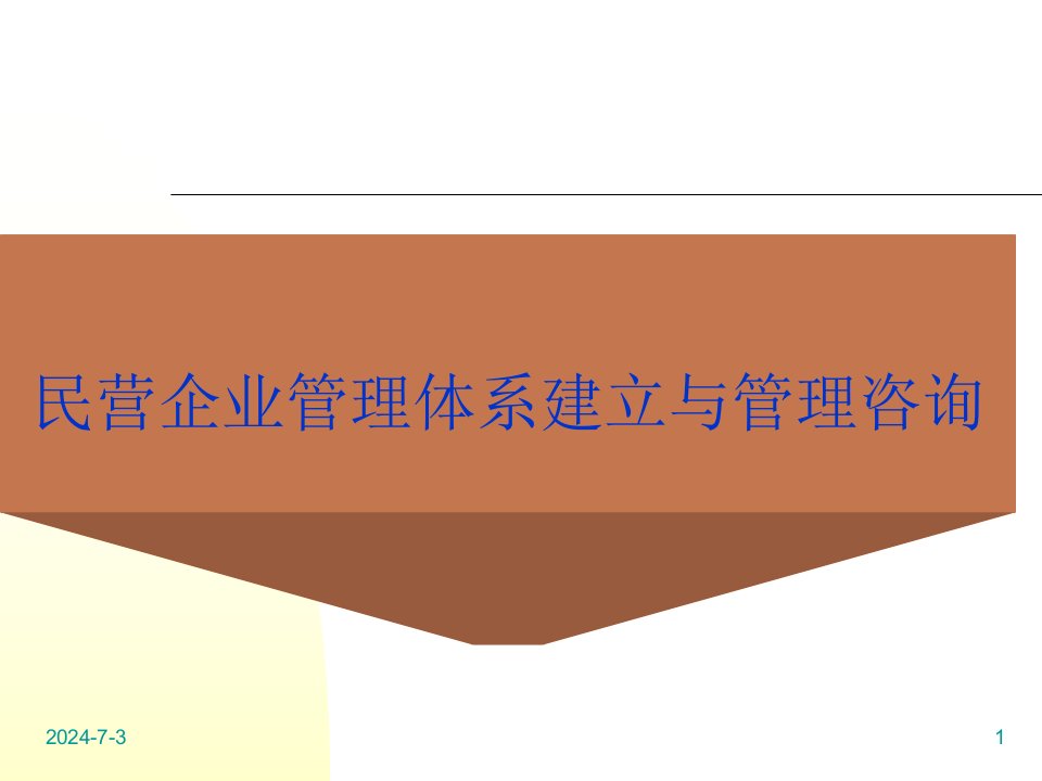 民营企业管理体系建立与管理咨询