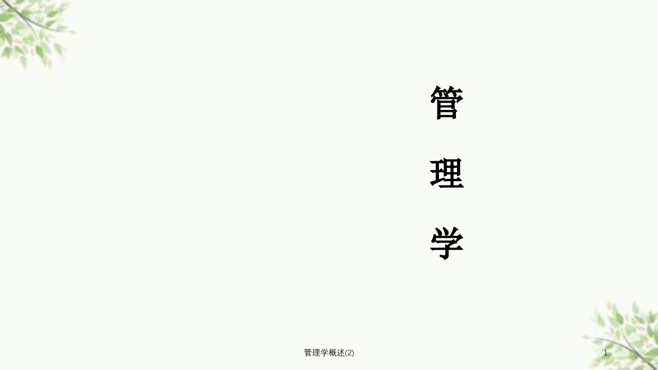 管理学概述2课件