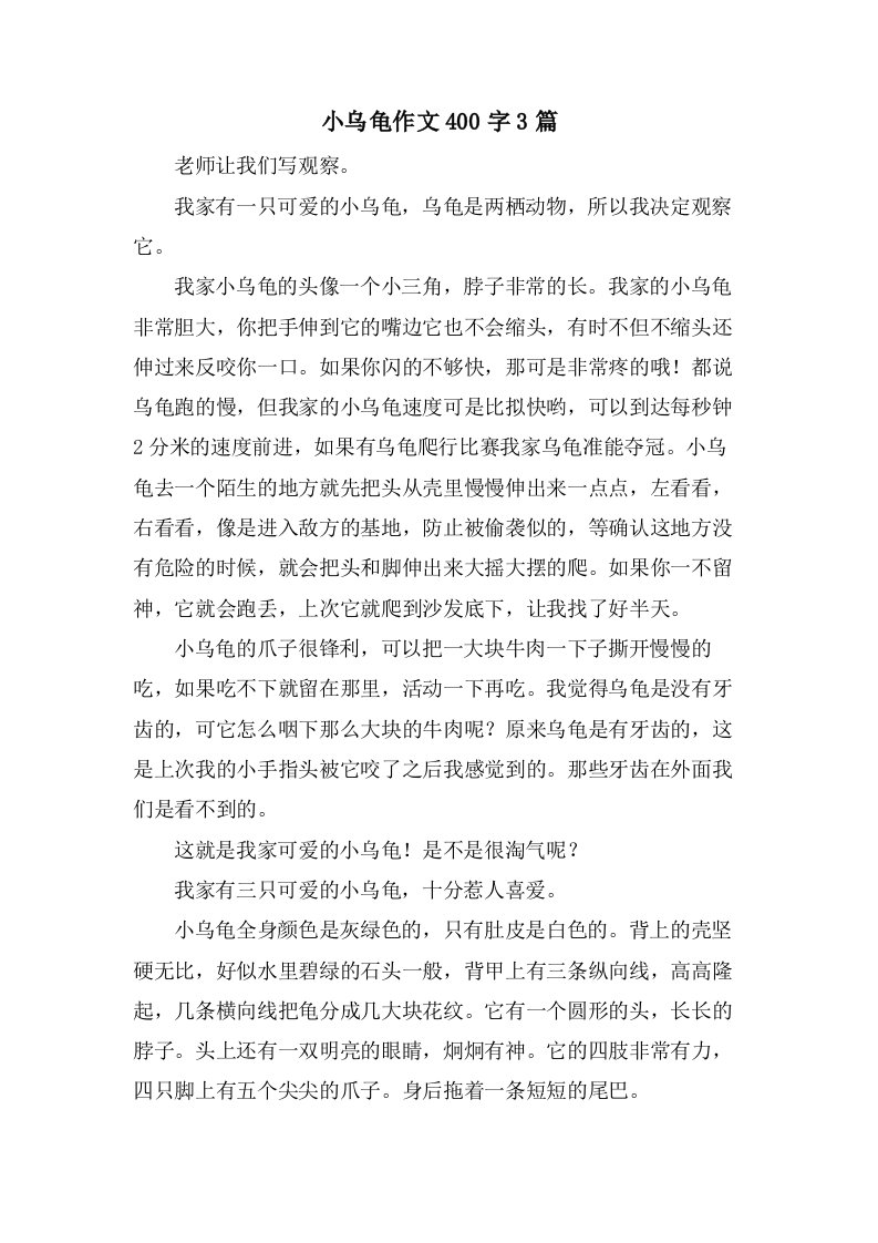 小乌龟作文400字3篇