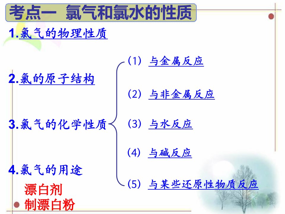 第4章第2讲氯气及其化合物卤素概要