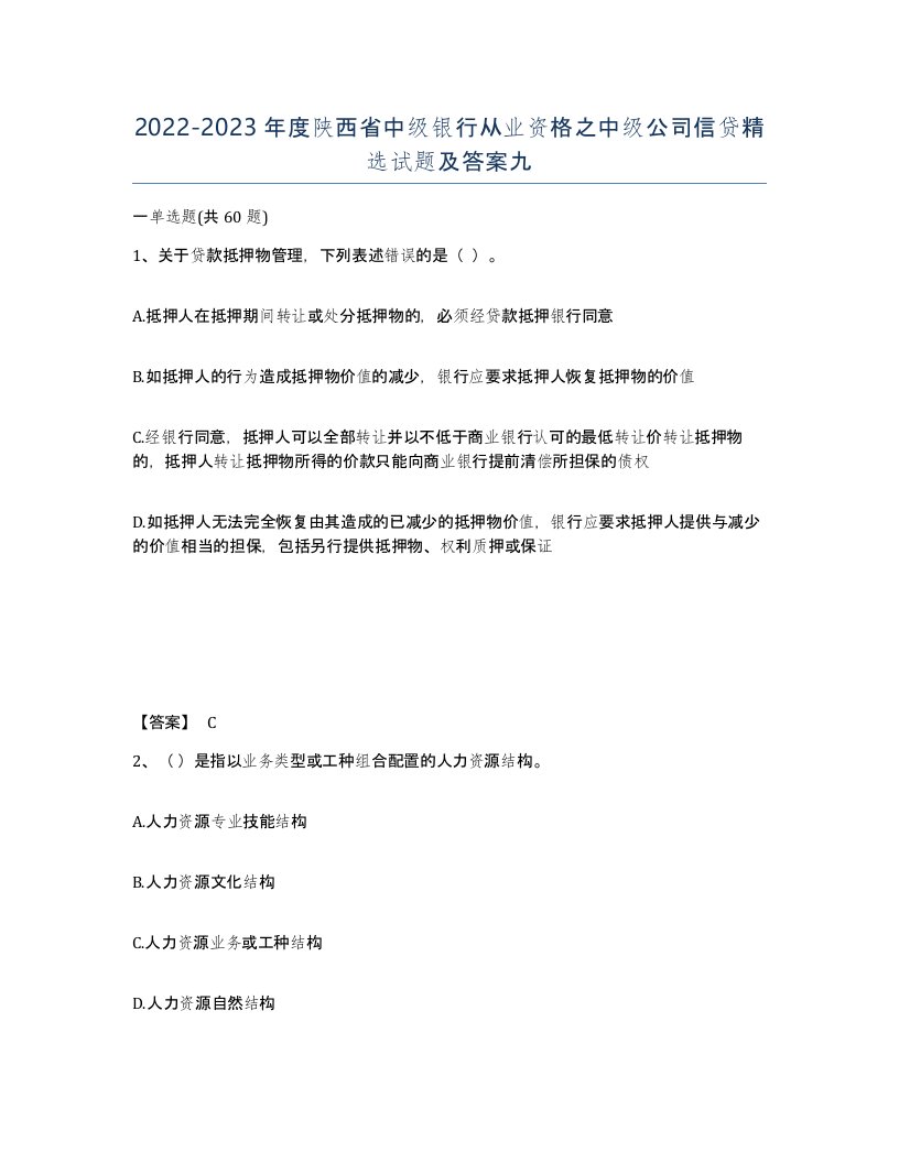 2022-2023年度陕西省中级银行从业资格之中级公司信贷试题及答案九