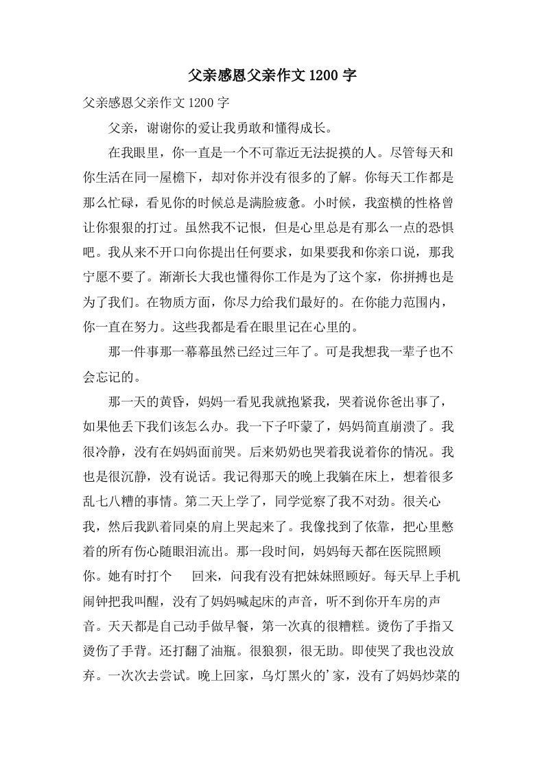 父亲感恩父亲作文1200字