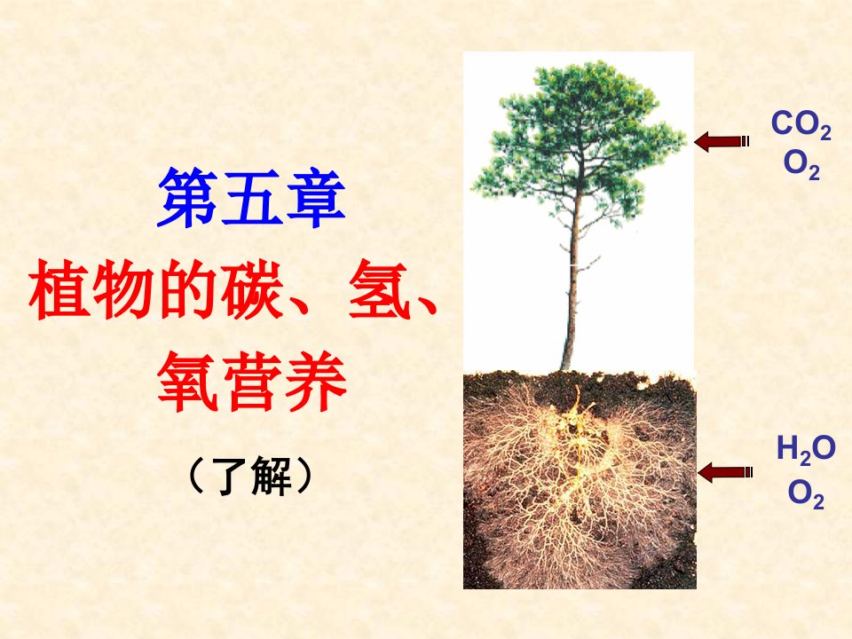 第五章植物的碳氢氧营养名师编辑PPT课件