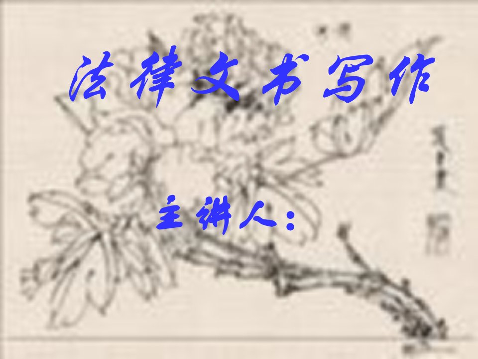 《法律文书写作》PPT课件