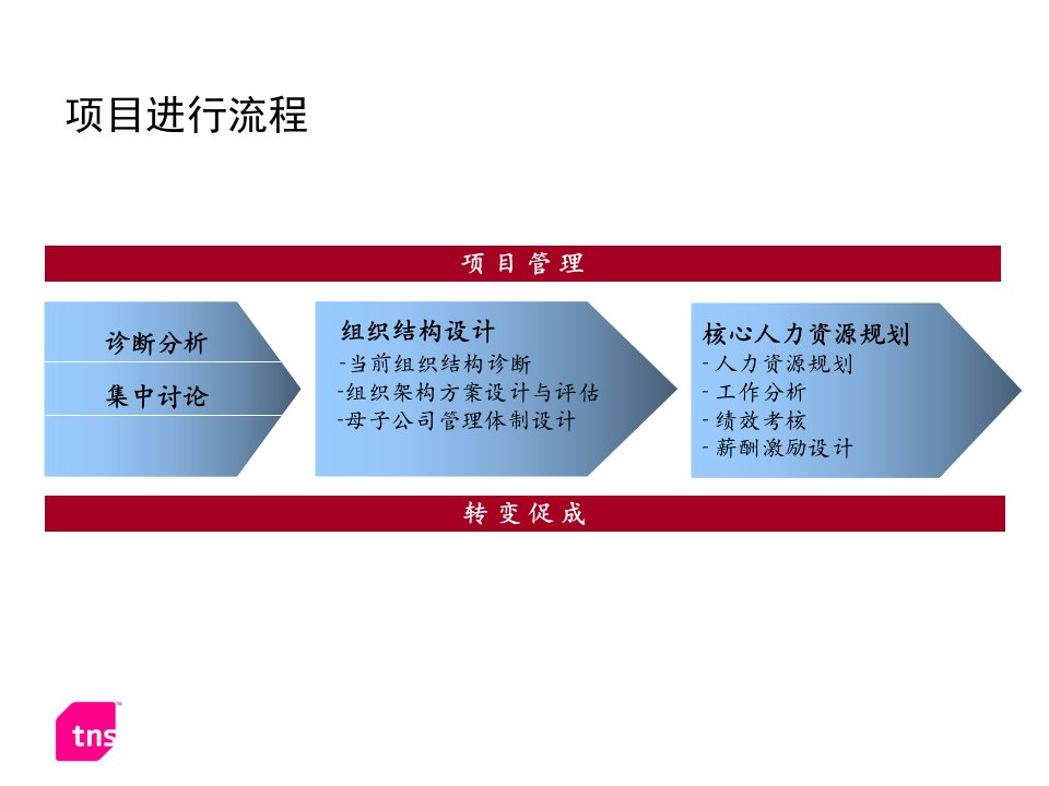 某置业有限公司组织结构设计咨询报告