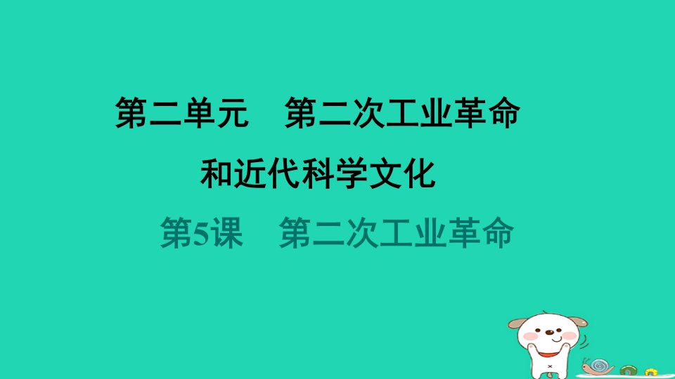 海南省20242024九年级历史下册第2单元第二次工业革命和近代科学文化第5课第二次工业革命课件新人教版