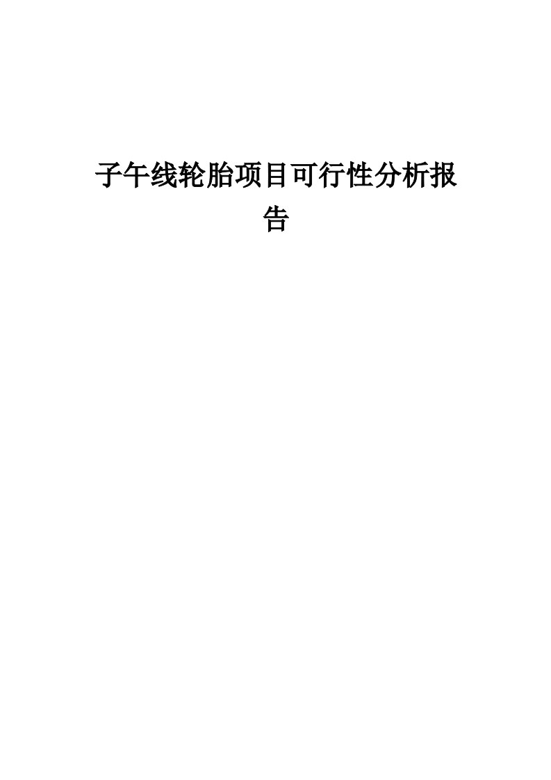 2024年子午线轮胎项目可行性分析报告