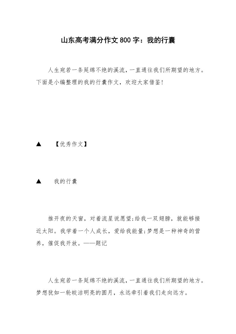 山东高考满分作文800字：我的行囊