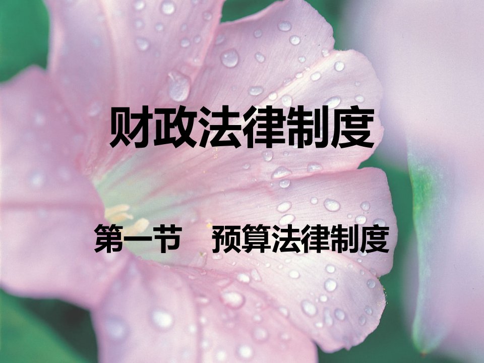 第一节预算法律制度