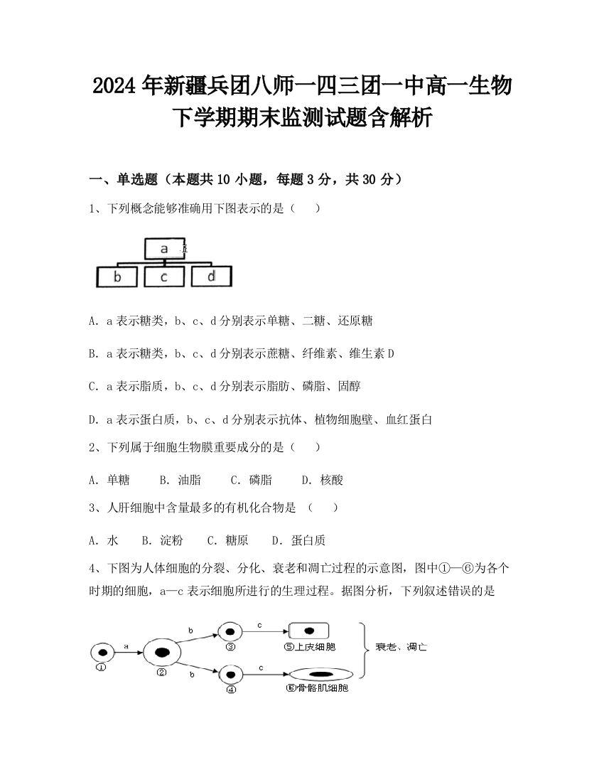 2024年新疆兵团八师一四三团一中高一生物下学期期末监测试题含解析