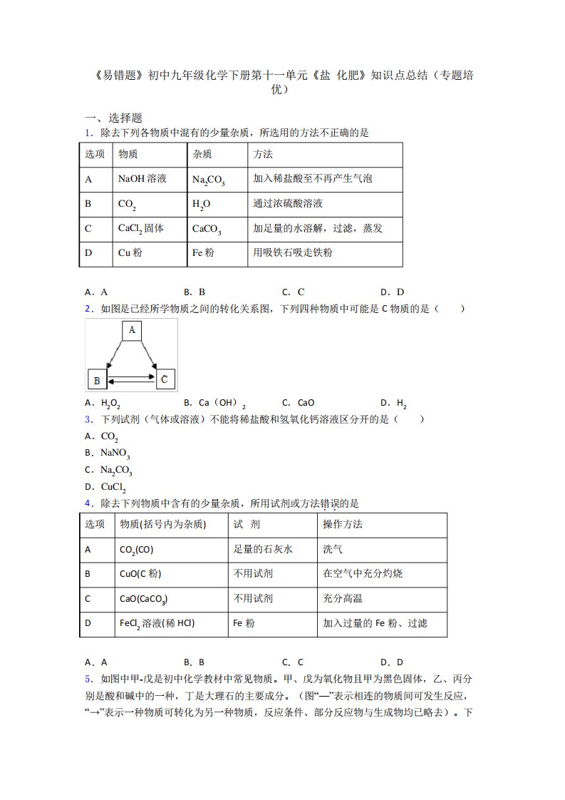 《易错题》初中九年级化学下册第十一单元《盐