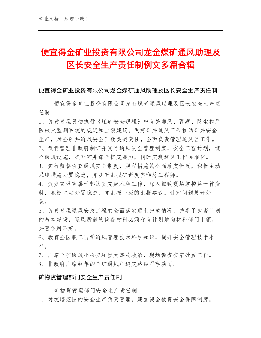 便宜得金矿业投资有限公司龙金煤矿通风助理及区长安全生产责任制例文多篇合辑