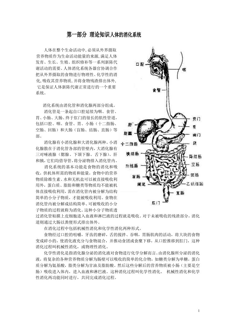 肠胃资料