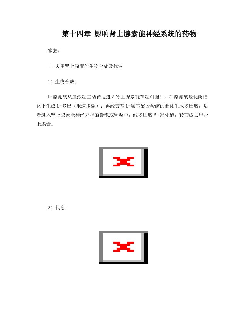 第十四章+影响肾上腺素能神经系统的药物