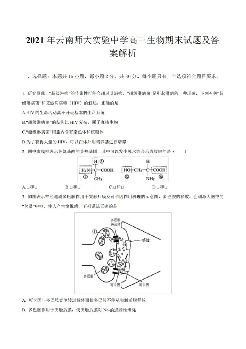 2021年云南师大实验中学高三生物期末试题及答案解析