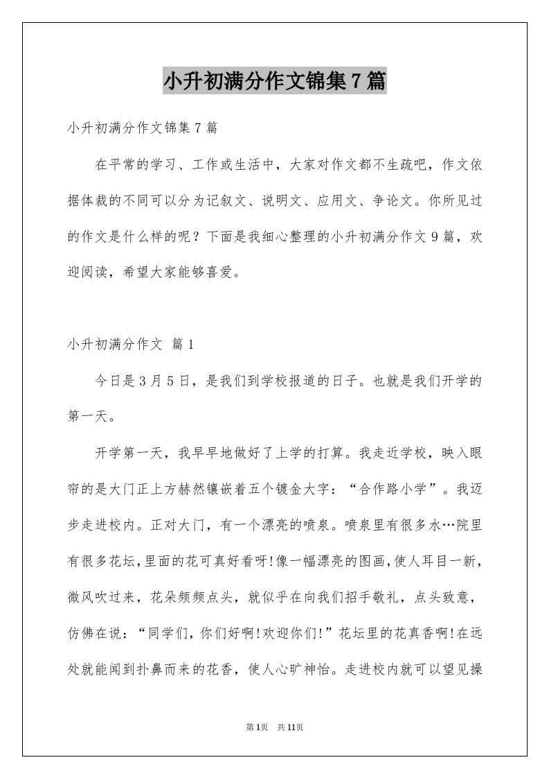 小升初满分作文锦集7篇例文